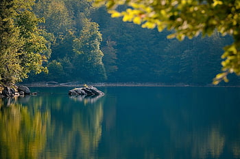 lake, rocks, forest, nature, water, landscape
