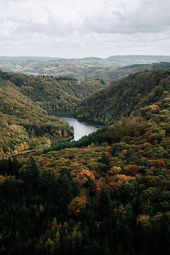 mountain valley, green forest, river, autumn colors, meandering river, aerial view, tranquil valley, breathtaking view, natural landscape, scenic view, fall foliage