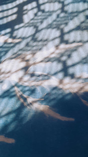 umbra de dantela, fundal albastru, modele abstracte, suprafață texturate, stări de spirit liniștite, Umbre creative, textura albastră, umbra arta, umbre abstracte, albastru abstract, modele de umbra