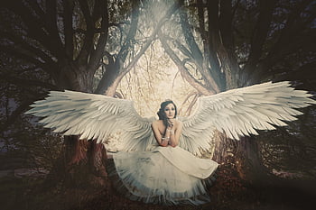 angel, nature, trees, woman, forest, wing, fall, light, mood, fantasy, feathers