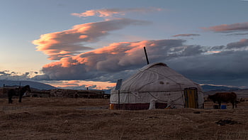 yurt, mongolia, sunset, meadow, countryside, traditional, culture, field, evening Atmosphere, afterglow, evening Sky