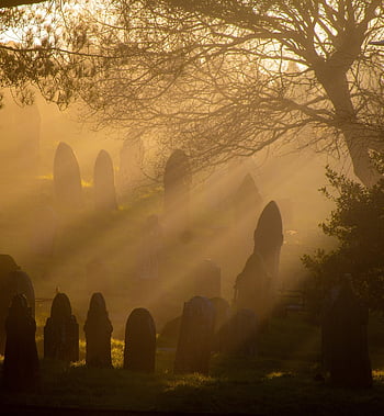 cimitero, lapidi, nebbia, tombe, pietra sepolcrale, natura, luce, alberi, attraversare, crocifisso, funerale