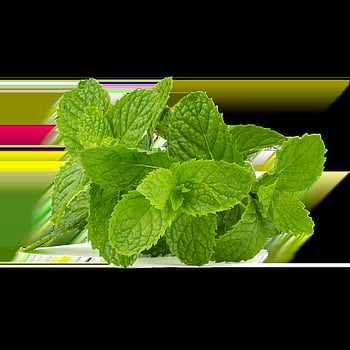 mint, mint Leaf, green, peppermint, healthy, drink, health, healing, leaves, soda, herbs