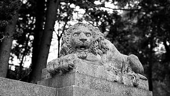 lion, sculpture, statue, outdoors, animal, nature, monochrome, quality, black And White, scary
