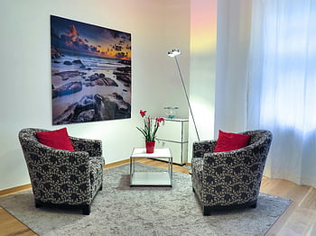Black and Gray Tub Chairs, elegant living room, modern chairs, stylish home setup, art decor, living room decor, contemporary furniture, red cushions, modern art, living room setup, stylish decor