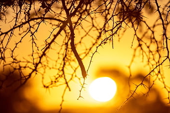 solnedgang, namibia, Afrika, ørken, sahara, natur, sand, safari, tør, Nationalpark, klit