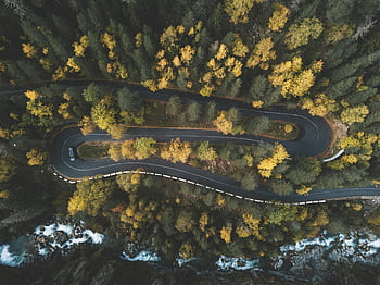aerial shot, curved road, dense forest, fall foliage, vibrant colors, top view, autumn landscape, winding road, nature photography, scenic view, aerial photography