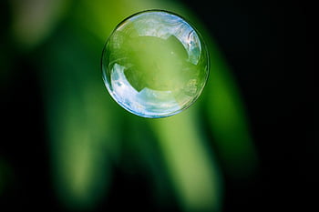 bubble, soap Bubble, iridescent, nature, transparency, sphere, rainbow, reflection