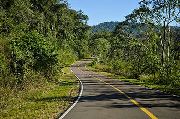 weg, natuur, reizen, exploratie, buitenshuis, bomen