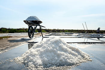 sklizeň soli, chlorid sodný, pobřežní solná pánev, kolečko, produkce soli, sůl hromadu, Chov solí, extrakce soli, solného průmyslu, slaná voda, solné byty