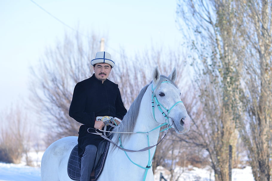 horse, man, friends, ride, adventure, outdoors