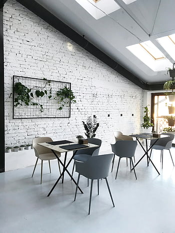 jídelní stoly, interiér kavárny, bílé cihlové stěny, moderní nábytek, dekorativní vnitřní rostliny, Současná kavárna, elegantní interiér, vnitřní posezení, Design kavárny, Moderní kavárna, bílý interiér