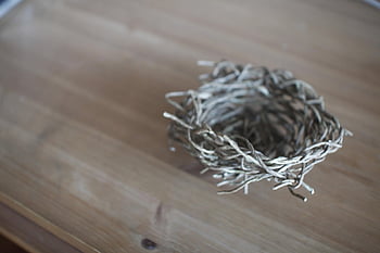 nest, home, brown, empty, architecture, creation, props, object