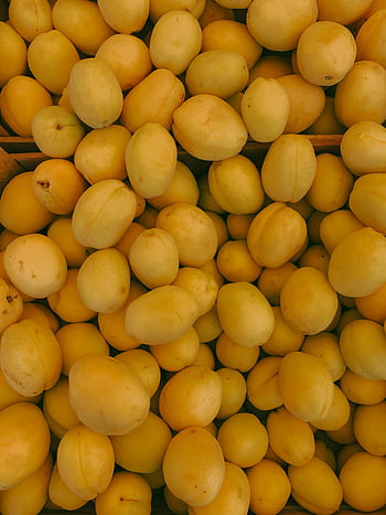 ripe mirabelle plums, bright yellow color, top view, pile of plums, mirabelle plums, yellow plums, fruit, fresh plums, organic plums, harvest, seasonal fruit