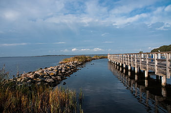 baltic Sea, port, marina, jetty, web, water, nature, sea, coast, heaven, vacations