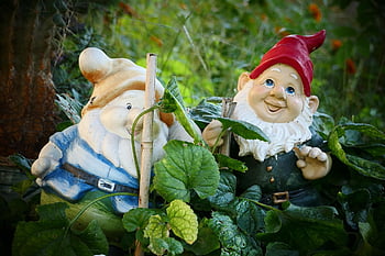 trpaslíci, zahrada, Gnome, roztomilý, legrační, postava, sladký, dekorace, malý, barvitý, dekorativní