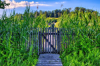 garden Fence, wooden Fence, wooden Door, gate, entrance, barrier, border, wood, security, door, garden Gate