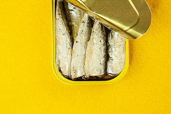 canned fish, yellow container, open tin, sardines, vibrant yellow background, seafood in oil, top view, canned seafood, yellow tin, sardines in oil, canned sardines