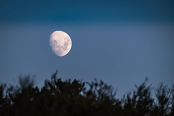měsíc, měsíční svit, soumrak, večer, nebe, atmosféra, nálada, měsíční, Příroda, astronomie, noční obloha