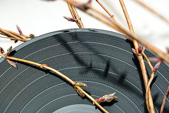 disco in vinile, piatto, vinile, analogico, musica, Audio, suono, naturalmente, hi-fi, corriere audio, nostalgia