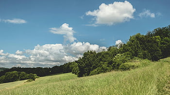 Forest Photography, tranquil countryside, lush meadow, vibrant blue sky, clouds, natural landscape, green field, outdoor scenery, serene environment, rural view, nature photography