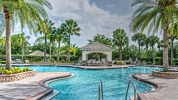 palma, bazén, tropický, altán, jasné modré vody, luxusní resort, Scéna u bazénu, relaxační, venkovní, dovolená, Obrácení letoviska
