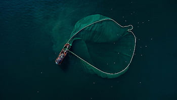 bateau, bateau de pêche, net, mer, vaste, large, pêche, la nature, vue aérienne