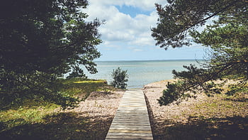 ścieżka prowadząca do morza, Spokojna promenada, Spokojna plaża, linia brzegowa, oprawione przez drzewa, Chodnik plażowy, Ścieżka nadmorska, naturalna sceneria, Nadbrzeżna ścieżka, spokojny krajobraz, dostęp do plaży