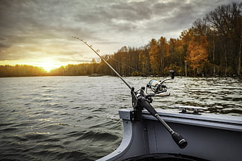 bateau de pêche, canne à pêche, pêche, Lac, loisir, bateau, forêt, les bois, la nature, eau, rivière