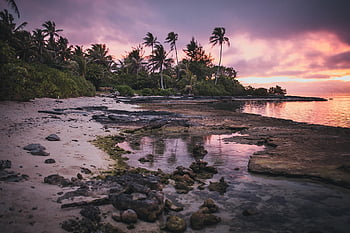 beach, sunset, destination, island, sea, ocean, outdoors, tahiti, moorea, tropical, sky