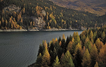 twilight, lake, nature, alpine, mountains, water Surface, forest, alp, mood, panorama, look