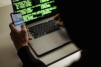 developer, coding, laptop, smartphone, indoor setting, programming, technology, work, multitasking, software development, computer