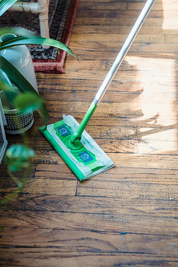 cleaning, mop, wooden floor, natural light, indoor plants, high angle shot, floor cleaning, green mop, home cleaning, housework, domestic chores