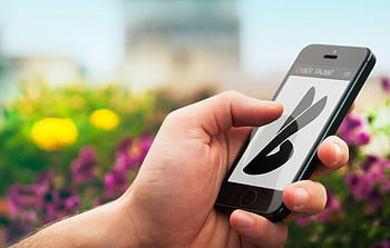 Photographie de focus sélective, personne tenant un smartphone, iphone noir 5, Fleurs pourpres, main grossier, fond floral flou, logo à l'écran, photographie sur smartphone, photographie en extérieur, Technologie de nature, utilisation des appareils mobiles