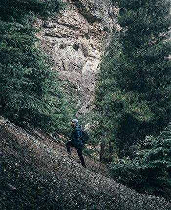 mountain climber, rocky mountain trail, tall trees, adventure, exploration, hiking, outdoor activities, nature, forest, man hiking, scenic landscape