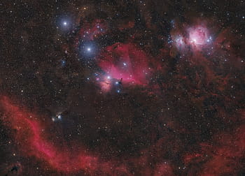astro, orion, konstellation, mosaik-, Giuseppe Donatiello, 135mm, tele, lins, array, Röda nebulor, stjärnor