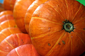 kabocha, squash, zimní squash, dýně, zelenina, oranžový, čerstvé jídlo, zeleniny
