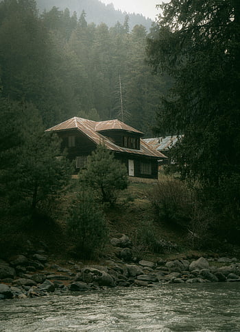 rustic cabin, misty forest, serene landscape, river view, tranquil scene, picturesque setting, forest cabin, misty atmosphere, natural retreat, mountain backdrop, peaceful environment