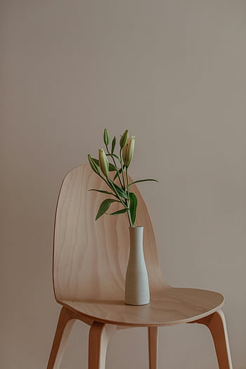 yeşil ve beyaz çiçekler, tahta sandalye, Çiçek vazosu, zarif minimalist kurulum, nötr fonu, Basit dekor, modern iç, Çiçek düzenlemesi, beyaz vazo, yeşil yapraklar, minimalist tasarım