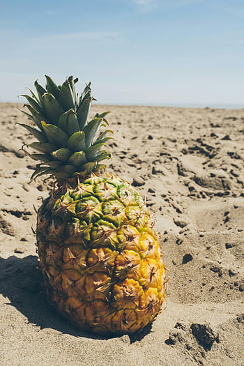 ananas, písečná pláž, jasně modrá obloha, Tropické léto, Šťavnatý ananas, plážové scény, letní vibrace, ananas na písku, tropické ovoce, Plážové ovoce, letní ovoce