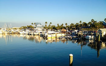 Bootfahren, Boote, klares Wasser, Docks, Dunedin, früh, Angeln, Florida, Morgen, Handflächen, Sarasota