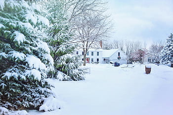 casa coperta di neve, alberi glassati, quartiere innevato, casa accogliente, scena invernale, alberi coperti di neve, paesaggio invernale, casa innevata, paese delle meraviglie invernale, alberi innevati, casa d'inverno