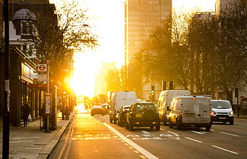city street scene, traffic, golden sunset, urban life, vehicles, asphalt road, sunset, vibrant, street, city, urban
