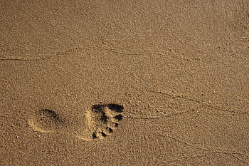 footprint on sand, sandy beach, single footprint, bright daylight, beach scene, sand texture, outdoor scene, nature photography, beach photography, footprint impression, beach footprint