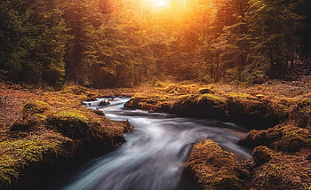 ai Generated, fantasy, autumn, river, nature, forest, trees, sunset