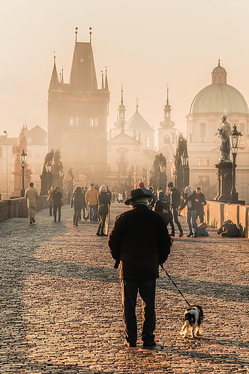praga, ponte di Carlo, ponte, uomo, cane, folla gary, a piedi, torri, sagome, cupola, nebbia
