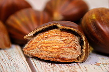 Kastanien, Nüsse, Schale, braun, Herbst, geöffnet, geknackt, Obst, Herbstfrucht
