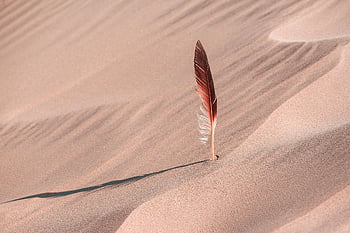 feather, dune, desert, sand, dune Landscape, barren, landscape, nature, north, hd Background