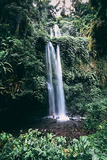 cascata, foresta, giungla lussureggiante, Indonesia, West Nusa Tenggara, bellezza naturale, avventura all'aria aperta, paesaggio tropicale, ambiente sereno, destinazione del viaggio, fotografia naturalistica