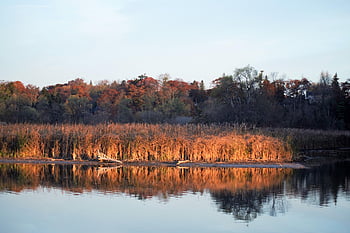 ontario Lake, pickering, canada